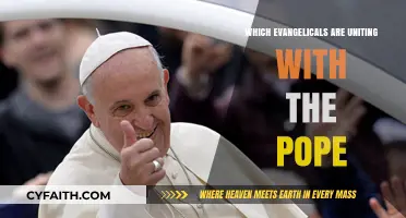 Unlikely Allies: Evangelical Leaders Forge Historic Bond with Pope