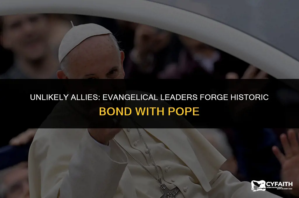 which evangelicals are uniting with the pope