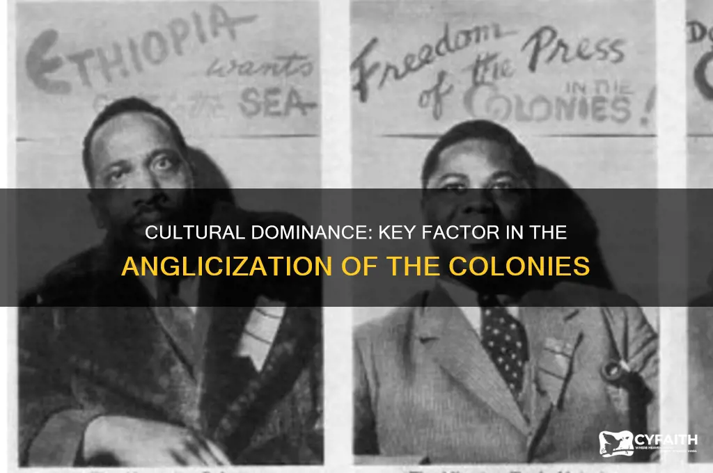 which factor was most responsible for anglicization of the colonies