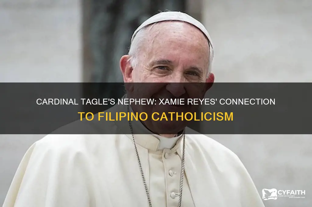 which filipino catholic cardinal has a nephew name xamie reyes
