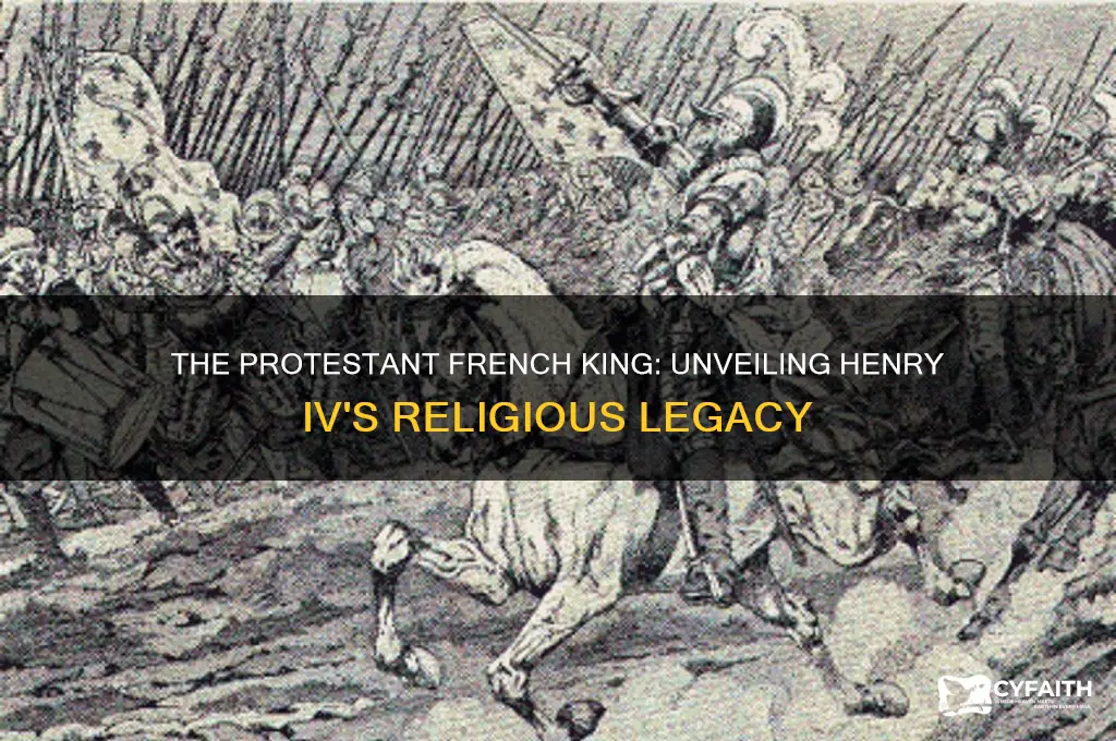 which french king was a protestant