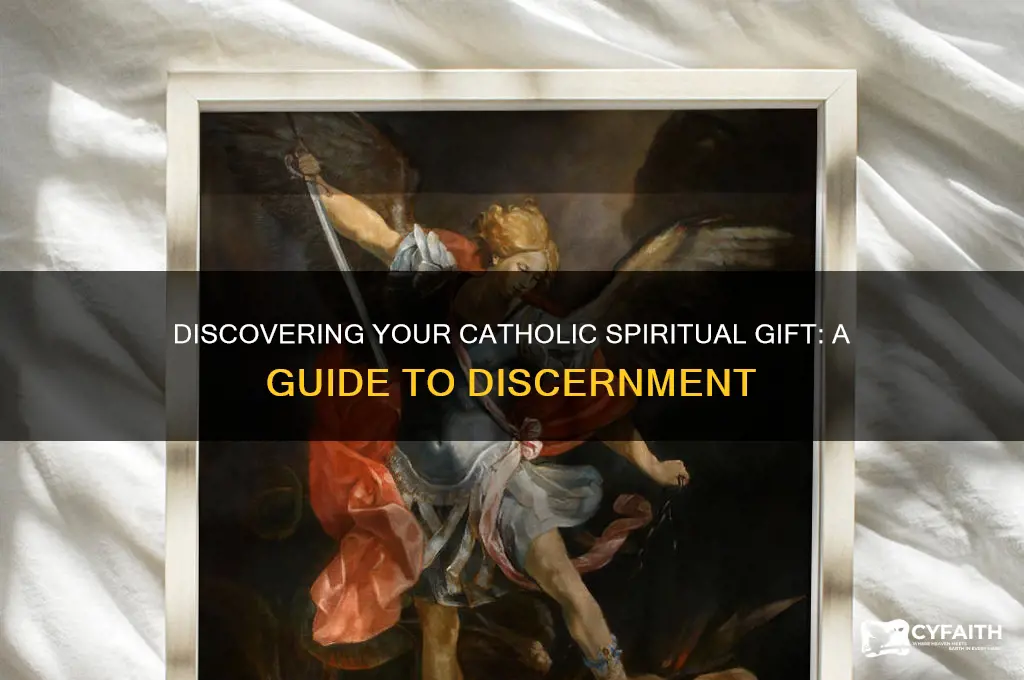 which gift of the spirit do i have catholic