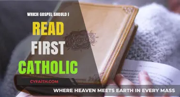 Choosing Your First Catholic Gospel: A Beginner's Guide to Start