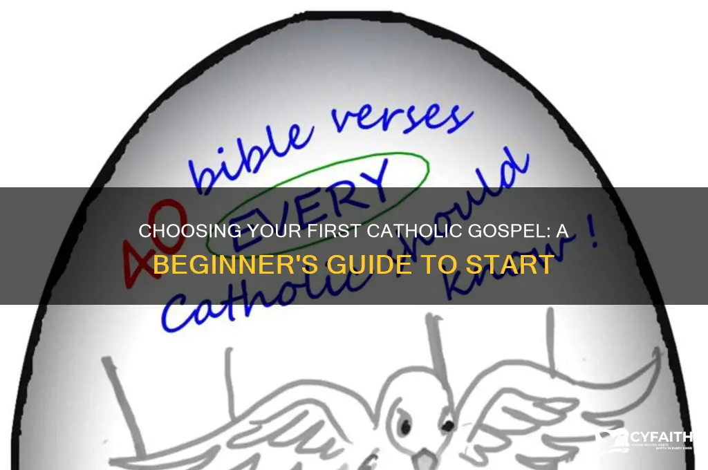 which gospel should i read first catholic