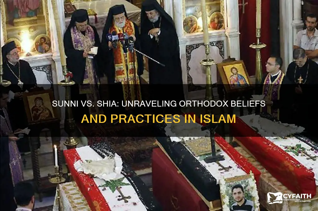 which group is more orthodox sunni or shia