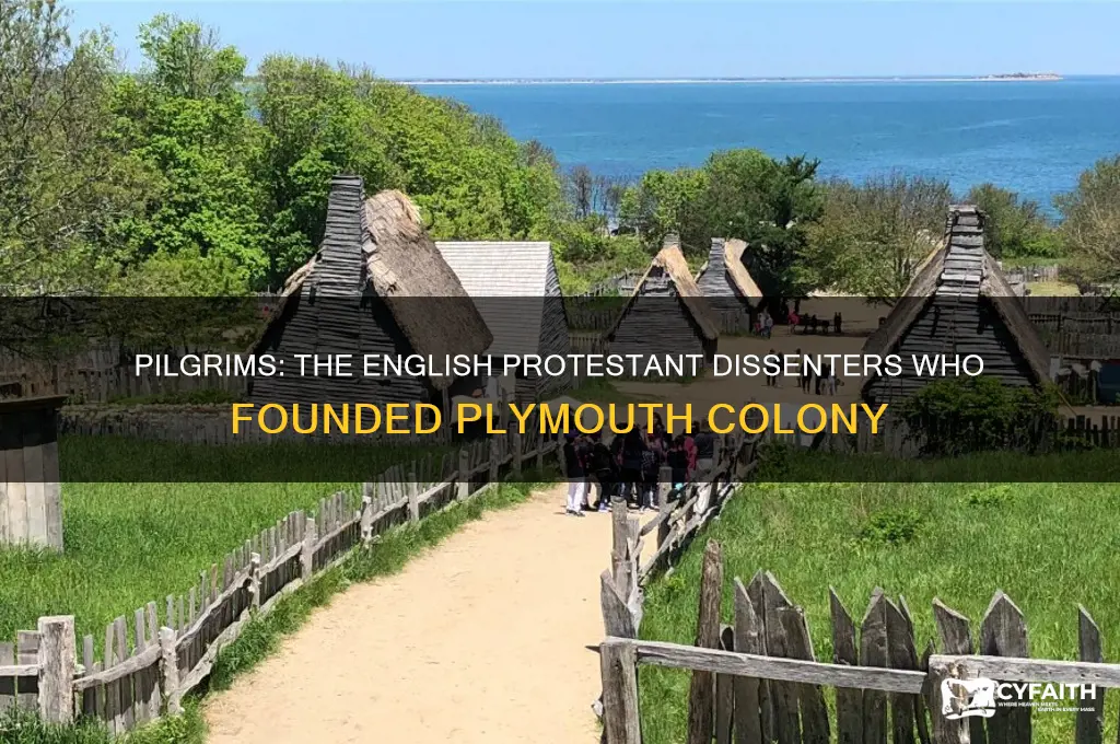 which group of english protestant dissenters settled in plymouth colony