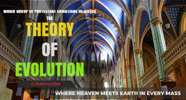 Protestant Groups Rejecting Evolution: A Deep Dive into Creationist Beliefs