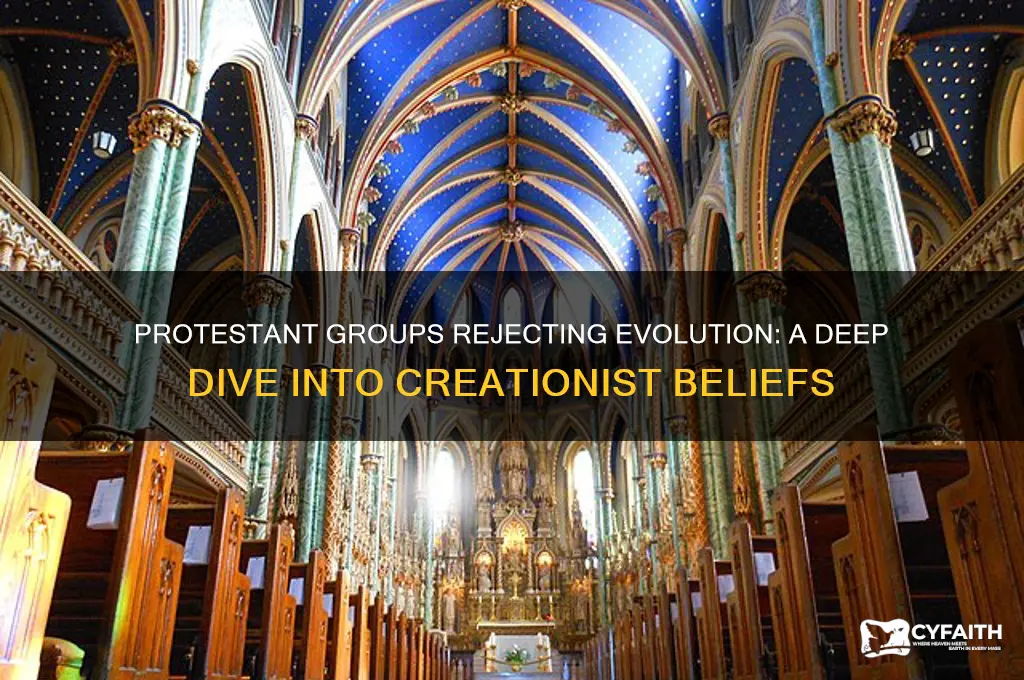 which group of protestant christians rejected the theory of evolution