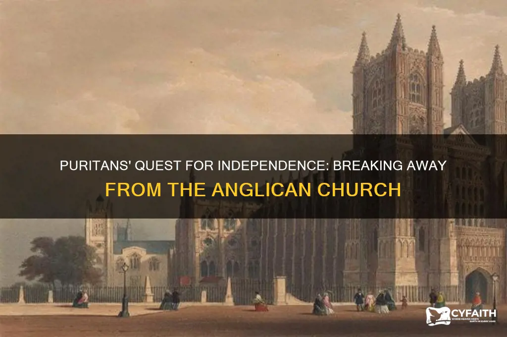 which group wanted to separate from the anglican church