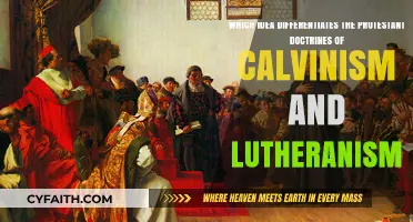 Calvinism vs. Lutheranism: The Key Doctrine That Divides Protestants
