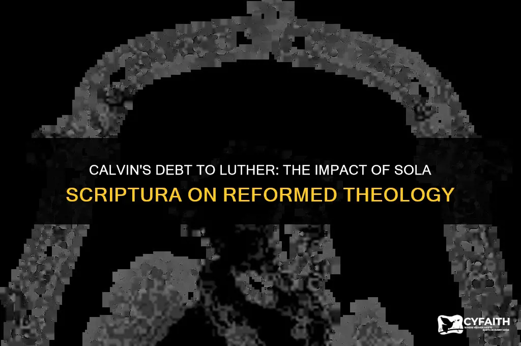 which idea of luthers influenced john calvin