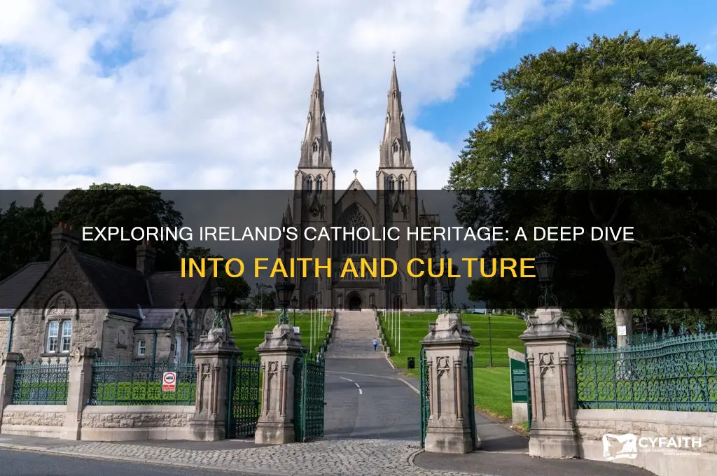 which irealand is catholic