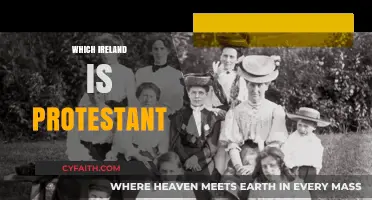 Understanding Protestant Ireland: A Historical and Cultural Overview