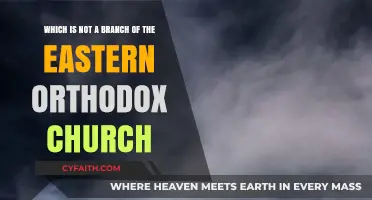 Unraveling Misconceptions: What’s Not a Branch of Eastern Orthodoxy?