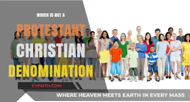Exploring Christian Denominations: Which Faith Group Isn't Protestant?