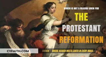 Misconceptions Unveiled: What Didn't Spark the Protestant Reformation?
