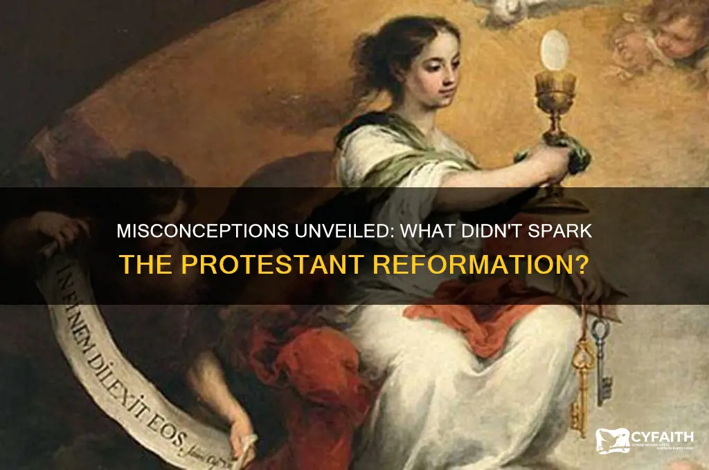 which is not a reason given for the protestant reformation