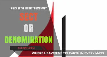 Exploring the Largest Protestant Denomination: A Comprehensive Overview