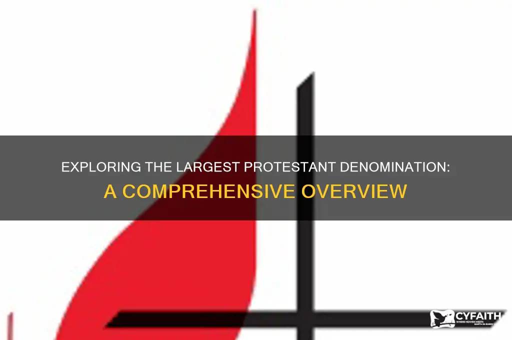 which is the largest protestant sect or denomination