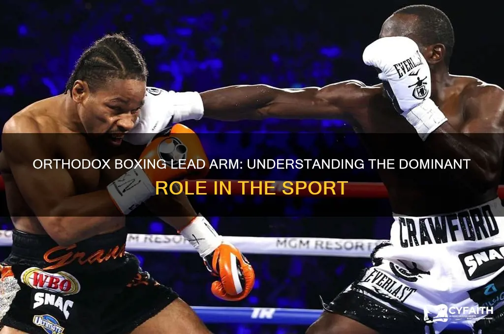 which is the lead arm in orthodox boxing