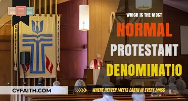 Exploring the Most Mainstream Protestant Denomination: A Comparative Analysis