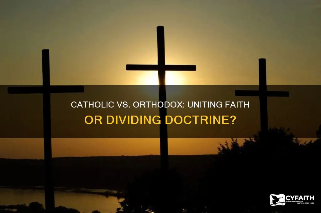 which is the true church catholic or orthodox