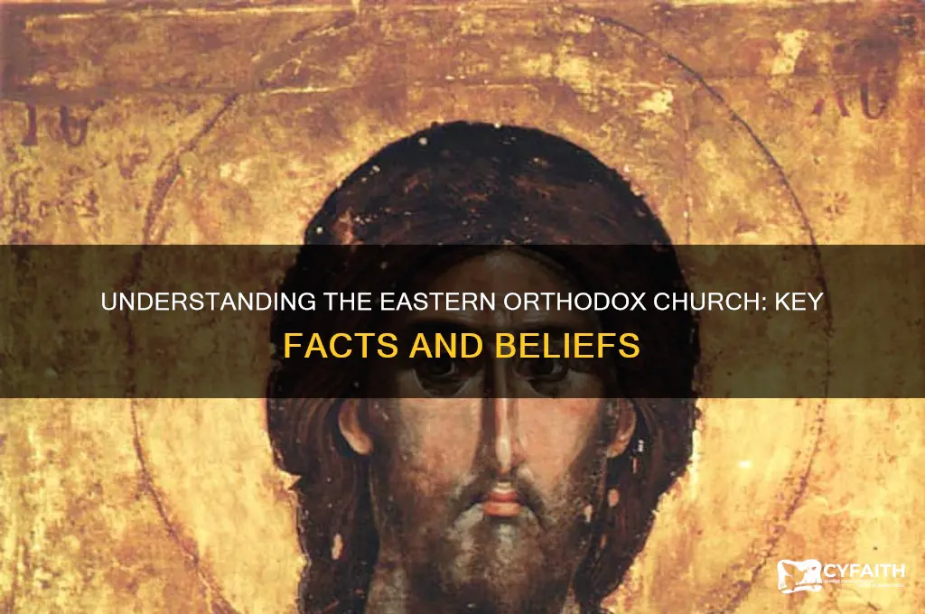 which is true about the eastern orthodox church brainly