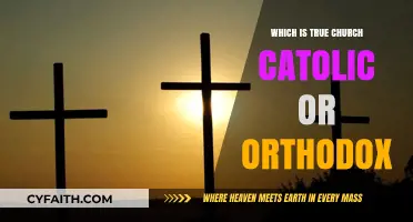 Catholic vs. Orthodox: Unveiling the True Church's Historical and Theological Roots