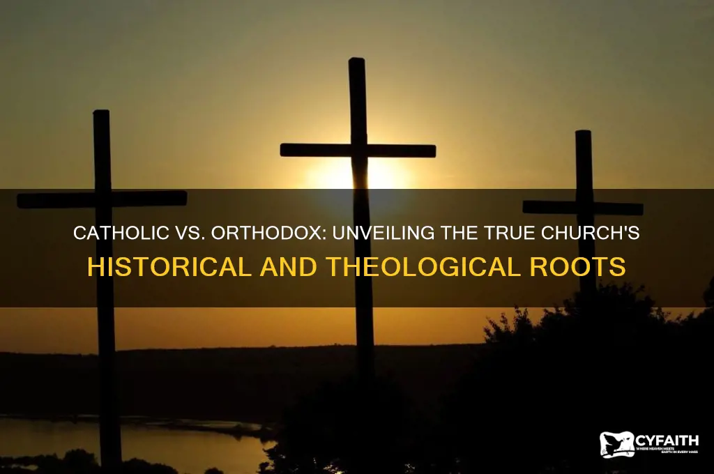 which is true church catolic or orthodox