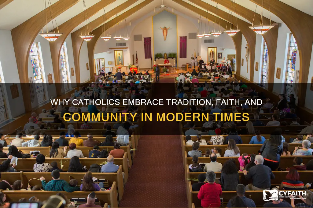 which is why catholics