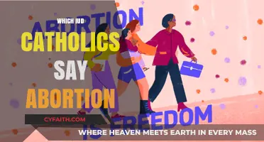 IUDs, Abortion, and Catholic Teachings: Navigating Reproductive Choices