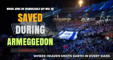 Divine Salvation: Evangelical Perspectives on Jewish Survival in Armageddon