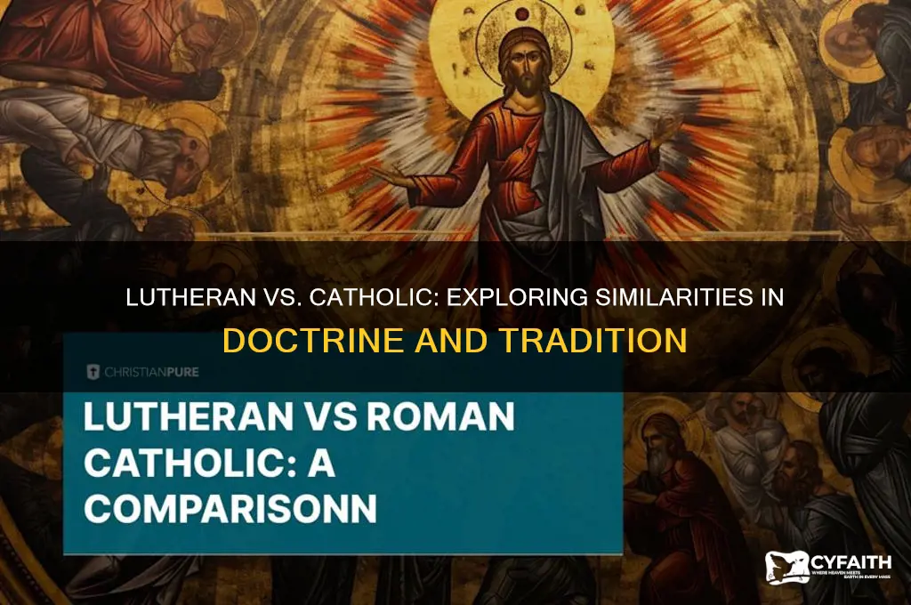 which lutheran faith is more like the catholic faith