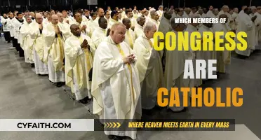 Catholic Members of Congress: Faith and Representation in U.S. Politics