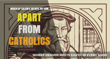 Calvin's Distinct Theology: Key Beliefs Diverging from Catholic Doctrine