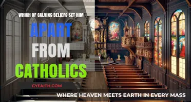 Calvin's Distinctive Doctrines: Key Beliefs Diverging from Catholic Teachings