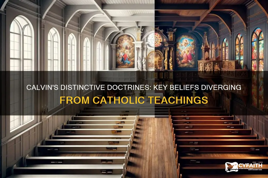 which of calvins beliefs set him apart from catholics