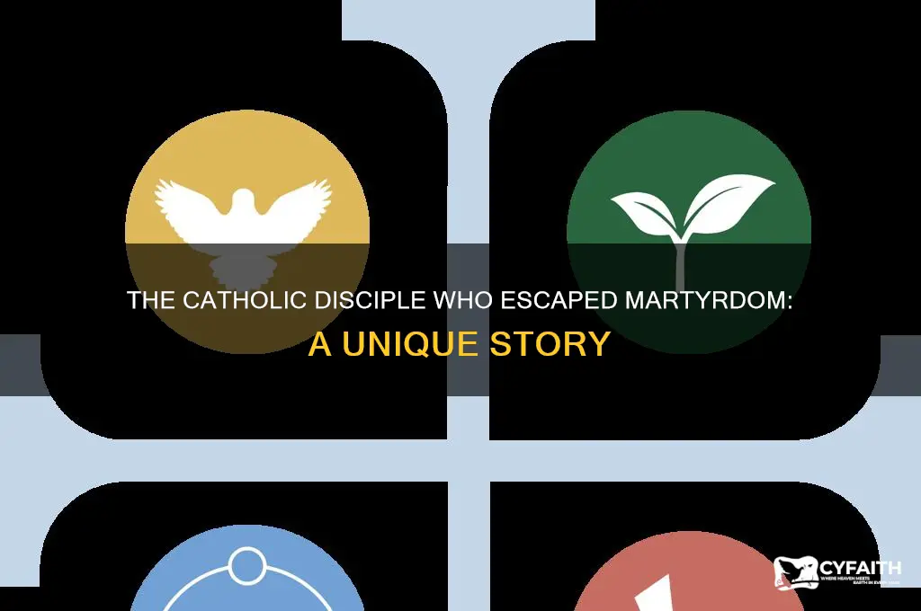 which of the 12 catholic disciples was not martyred