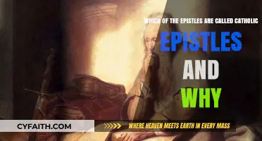 Understanding the Catholic Epistles: Their Purpose and Significance in Scripture