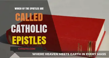 Understanding the Catholic Epistles: A Guide to Their Identity and Purpose