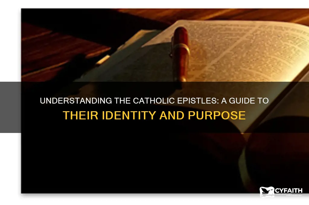 which of the epistles are called catholic epistles