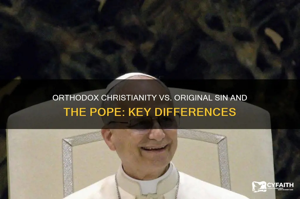 which of the following describes orthodox christianity orriginal sin pope