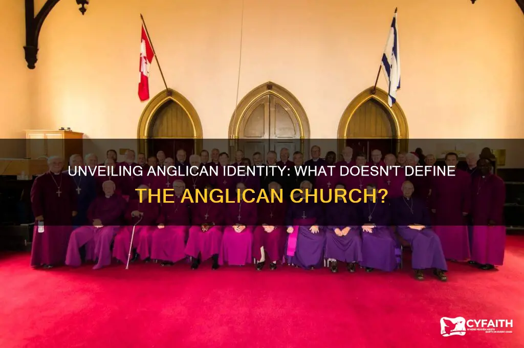 which of the following does not describe the anglican church