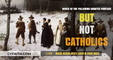 Puritan Privileges: Rights Granted to Puritans, Denied to Catholics