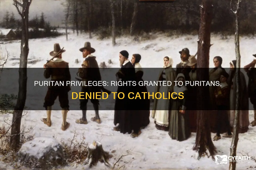 which of the following granted puritans but not catholics