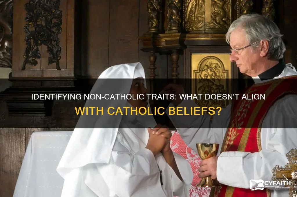 which of the following is not a catholic characteristics