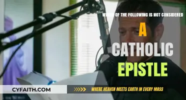 Identifying the Non-Catholic Epistle: A Biblical Exploration