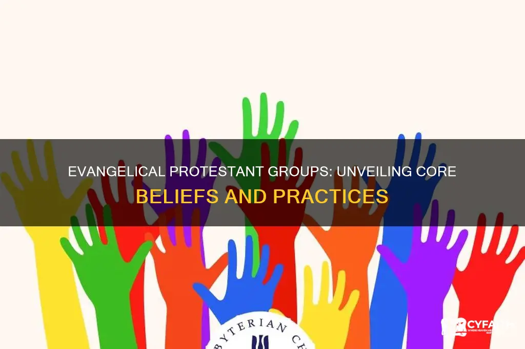 which of the following is true of evangelical protestant groups