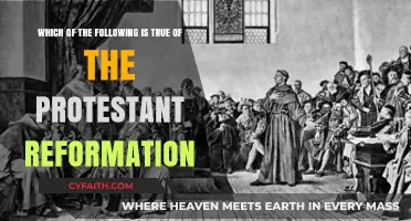 Protestant Reformation Truths: Debunking Myths and Uncovering Historical Facts