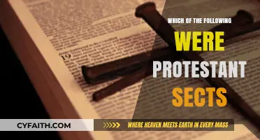 Protestant Sects Unveiled: Identifying Key Denominations and Their Beliefs